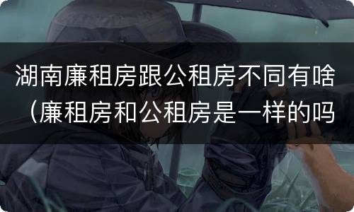 湖南廉租房跟公租房不同有啥（廉租房和公租房是一样的吗）