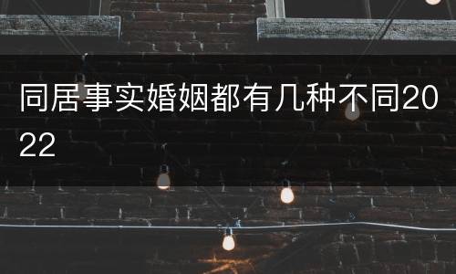 同居事实婚姻都有几种不同2022