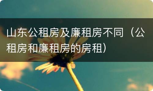 山东公租房及廉租房不同（公租房和廉租房的房租）