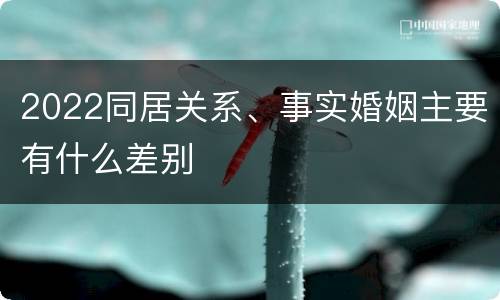 2022同居关系、事实婚姻主要有什么差别