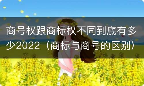 商号权跟商标权不同到底有多少2022（商标与商号的区别）
