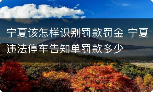 宁夏该怎样识别罚款罚金 宁夏违法停车告知单罚款多少