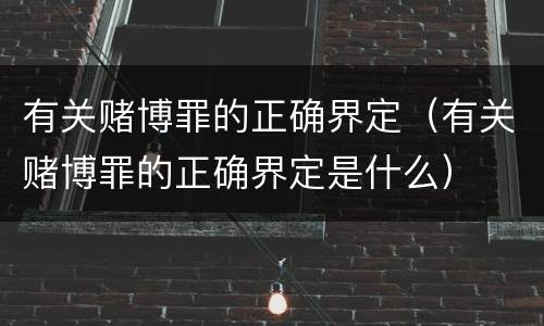 有关赌博罪的正确界定（有关赌博罪的正确界定是什么）
