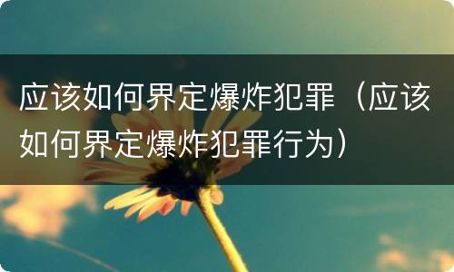 应该如何界定爆炸犯罪（应该如何界定爆炸犯罪行为）