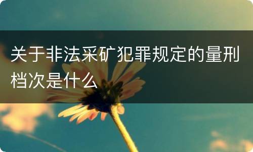 关于非法采矿犯罪规定的量刑档次是什么