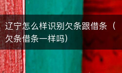 辽宁怎么样识别欠条跟借条（欠条借条一样吗）