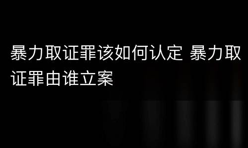 暴力取证罪该如何认定 暴力取证罪由谁立案
