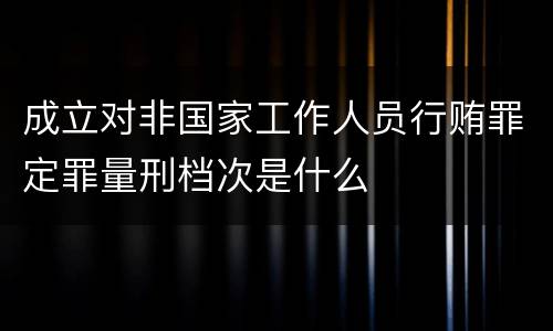 成立对非国家工作人员行贿罪定罪量刑档次是什么
