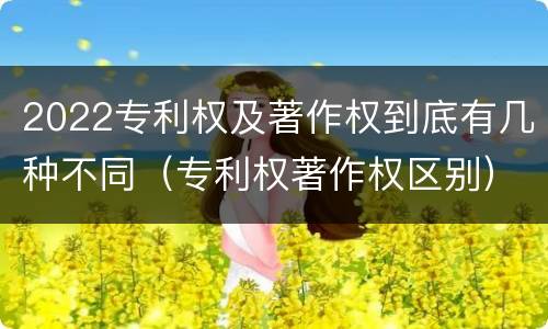 2022专利权及著作权到底有几种不同（专利权著作权区别）