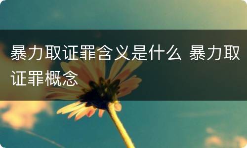 暴力取证罪含义是什么 暴力取证罪概念