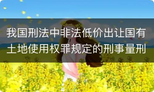 我国刑法中非法低价出让国有土地使用权罪规定的刑事量刑标准有哪些