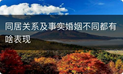 同居关系及事实婚姻不同都有啥表现