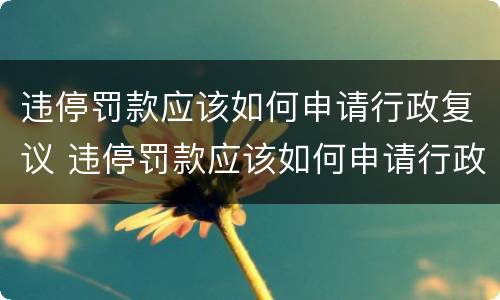 违停罚款应该如何申请行政复议 违停罚款应该如何申请行政复议流程