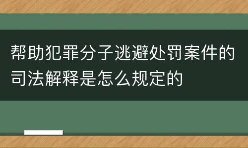 帮助犯罪分子逃避处罚案件的司法解释是怎么规定的