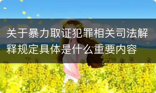关于暴力取证犯罪相关司法解释规定具体是什么重要内容