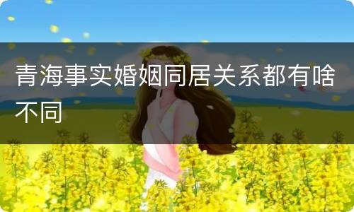 青海事实婚姻同居关系都有啥不同