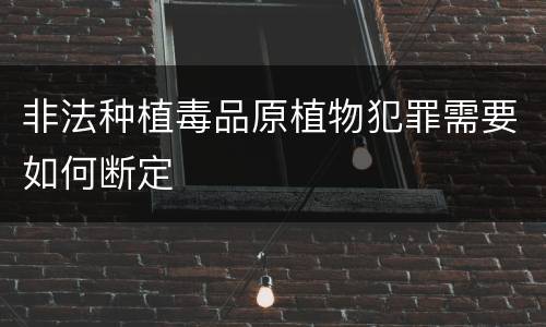 非法种植毒品原植物犯罪需要如何断定