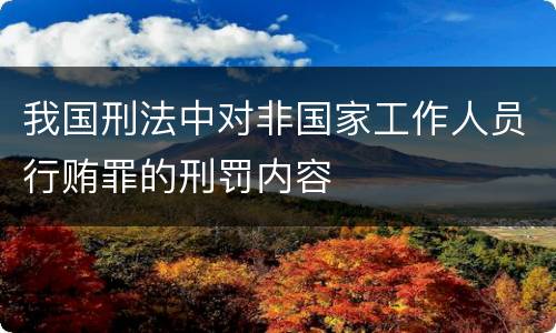 我国刑法中对非国家工作人员行贿罪的刑罚内容