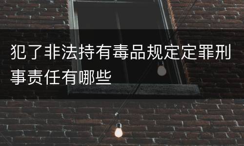 犯了非法持有毒品规定定罪刑事责任有哪些