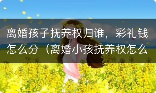 离婚孩子抚养权归谁，彩礼钱怎么分（离婚小孩抚养权怎么判定抚养费又是谁给谁）