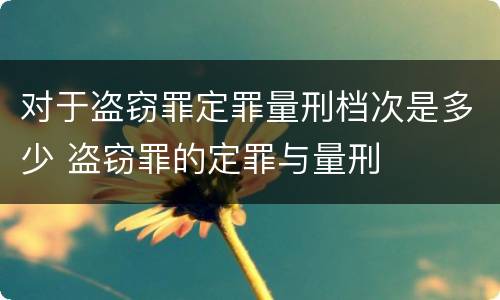 对于盗窃罪定罪量刑档次是多少 盗窃罪的定罪与量刑