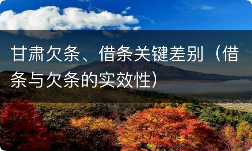 甘肃欠条、借条关键差别（借条与欠条的实效性）
