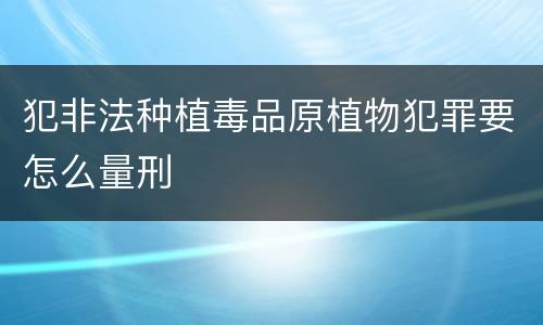 犯非法种植毒品原植物犯罪要怎么量刑