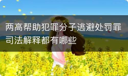 两高帮助犯罪分子逃避处罚罪司法解释都有哪些