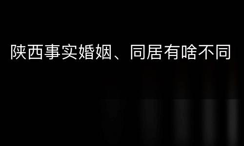 陕西事实婚姻、同居有啥不同