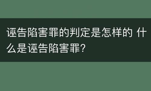 诬告陷害罪的判定是怎样的 什么是诬告陷害罪?