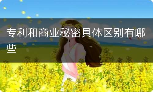 专利和商业秘密具体区别有哪些