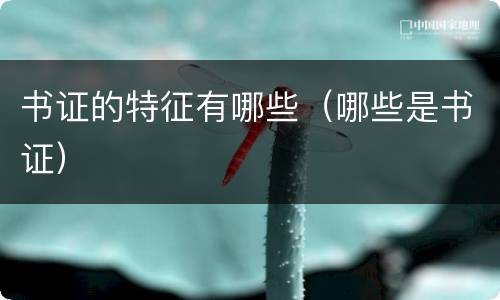 书证的特征有哪些（哪些是书证）