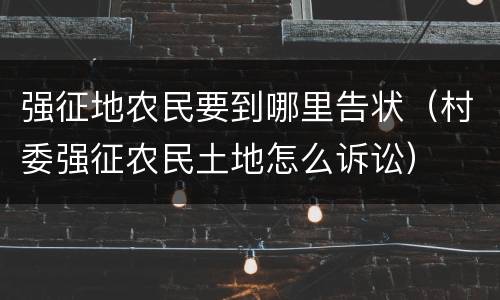 强征地农民要到哪里告状（村委强征农民土地怎么诉讼）