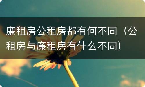 廉租房公租房都有何不同（公租房与廉租房有什么不同）