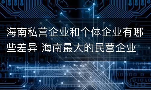 海南私营企业和个体企业有哪些差异 海南最大的民营企业
