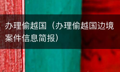 办理偷越国（办理偷越国边境案件信息简报）