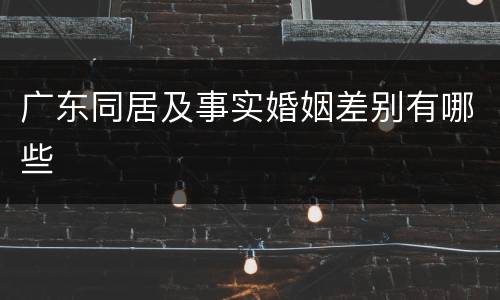 广东同居及事实婚姻差别有哪些
