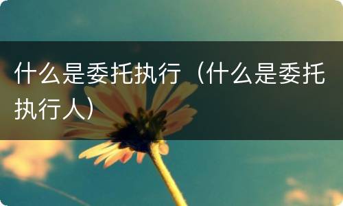 什么是委托执行（什么是委托执行人）