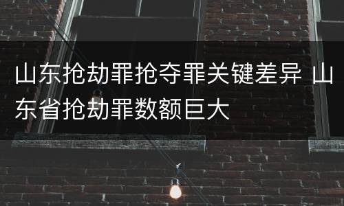 山东抢劫罪抢夺罪关键差异 山东省抢劫罪数额巨大