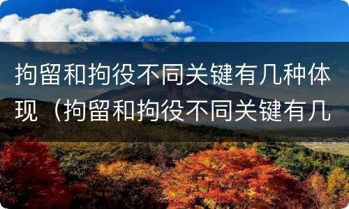 拘留和拘役不同关键有几种体现（拘留和拘役不同关键有几种体现）
