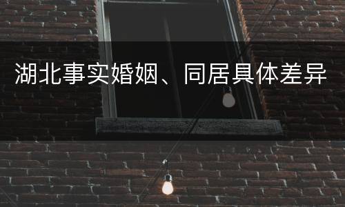 湖北事实婚姻、同居具体差异