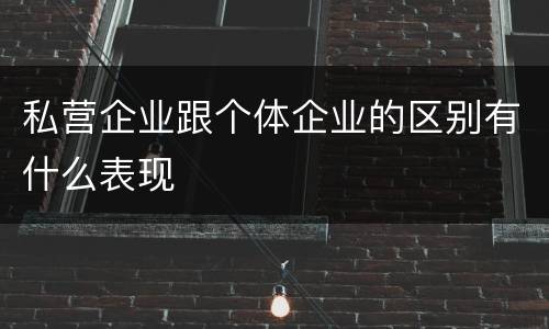私营企业跟个体企业的区别有什么表现