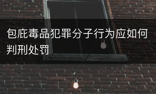 包庇毒品犯罪分子行为应如何判刑处罚