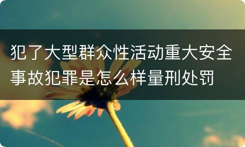 犯了大型群众性活动重大安全事故犯罪是怎么样量刑处罚
