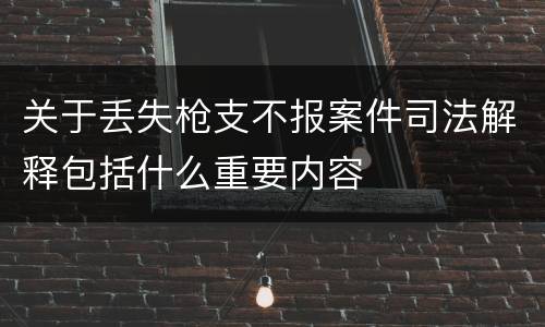 关于丢失枪支不报案件司法解释包括什么重要内容