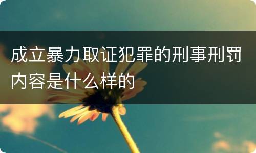 成立暴力取证犯罪的刑事刑罚内容是什么样的