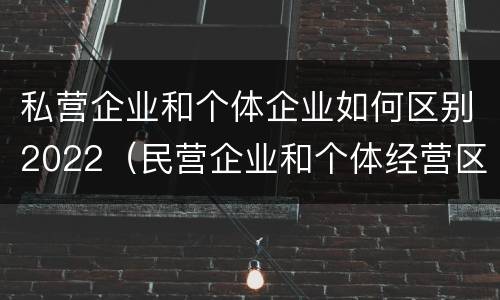 私营企业和个体企业如何区别2022（民营企业和个体经营区别）