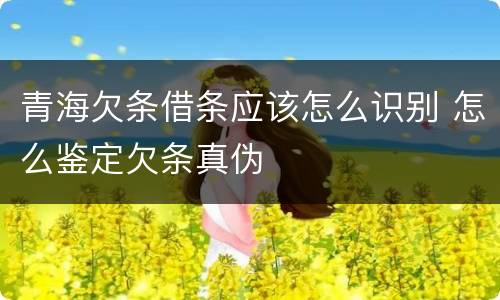 青海欠条借条应该怎么识别 怎么鉴定欠条真伪