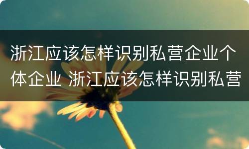浙江应该怎样识别私营企业个体企业 浙江应该怎样识别私营企业个体企业名录