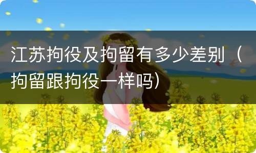 江苏拘役及拘留有多少差别（拘留跟拘役一样吗）